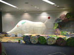 DSC00642.jpg