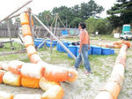 DSC01135.jpg