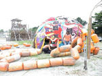 DSC01145.jpg