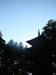 IMG_4341.jpg