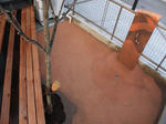 IMG_4834.jpg