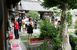 as_09.06.13_1149.jpg