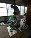 IMG_8160a.jpg