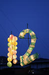 IMG_4155.jpg