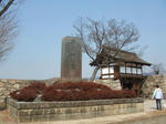 21f06af5.jpg