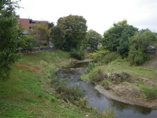 IMGP0604-01.jpg