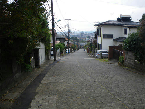 IMGP0624-01.jpg