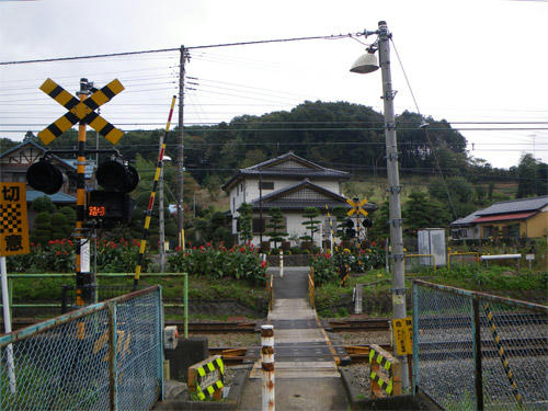 IMGP0627-01.jpg