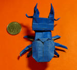 dorcus1.jpg