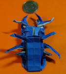 dorcus2.jpg