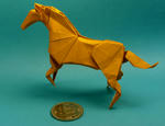 horse.jpg