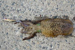 PH20111130001.jpg