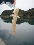 PH020003.jpg