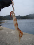 110202003.jpg