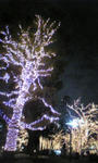 6b4e9952.jpg
