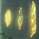 87f863b7.jpg