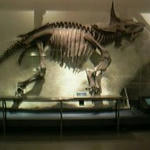a9ca2993.jpg