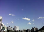8a88a242.jpg