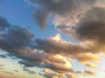 IMG_6364.jpg