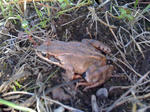 IMG_0086.jpg