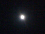 IMG_0174.jpg
