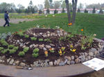 IMG_0697.jpg