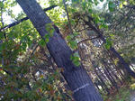 IMG_0703.jpg