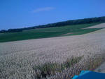 IMG_0739.jpg