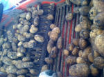 ffbd89b6.jpg