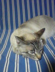 0504.jpg