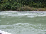 DSCF2255.JPG