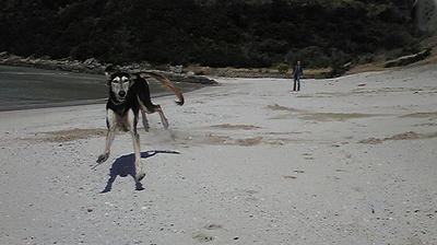 080315_110446.jpg
