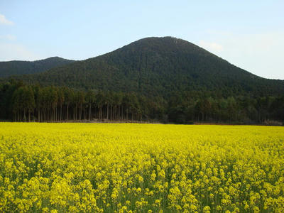 DSC00859.JPG