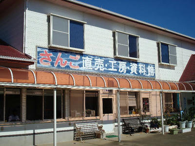 DSC06316.jpg