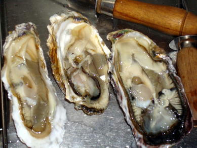 DSC06711.JPG