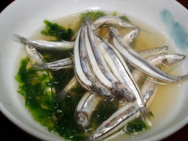 DSC06719.JPG