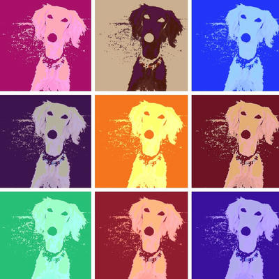 warholizerdc2e5eb77fefca0cd2a10e430c3cf49fb7c60275.jpg