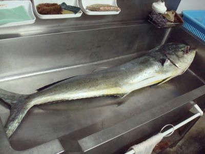 DSC07920.JPG