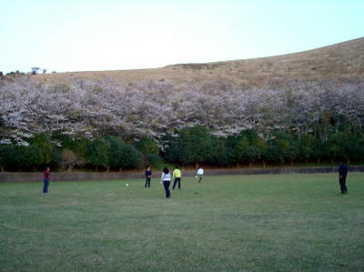 DSC08369.JPG