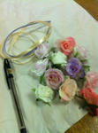 201201182.jpg