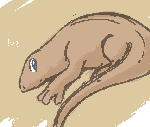 perl.gif