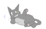 vier_rid.png