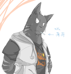 rs.png