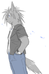 SSS.png