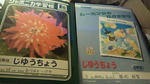 201009280015000.jpg