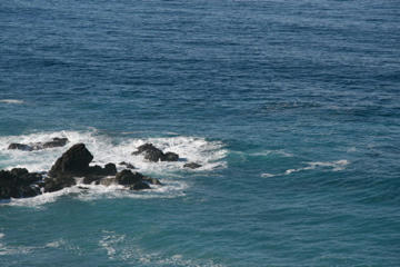 IMG_2783.jpg