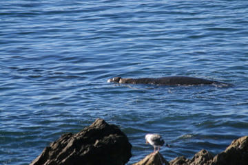 IMG_2820.jpg