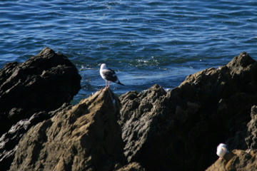 IMG_2817.jpg