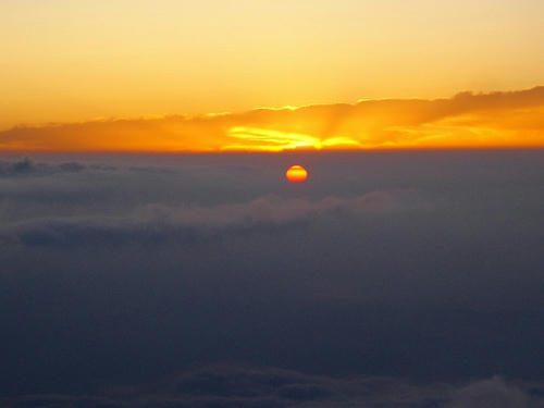 DSC05913.jpg