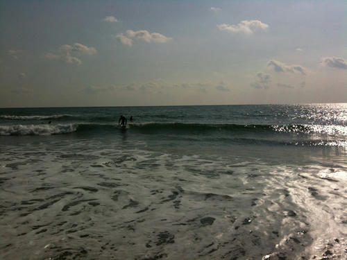 IMG_0972.jpg